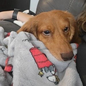 Meet your Posher, Christine